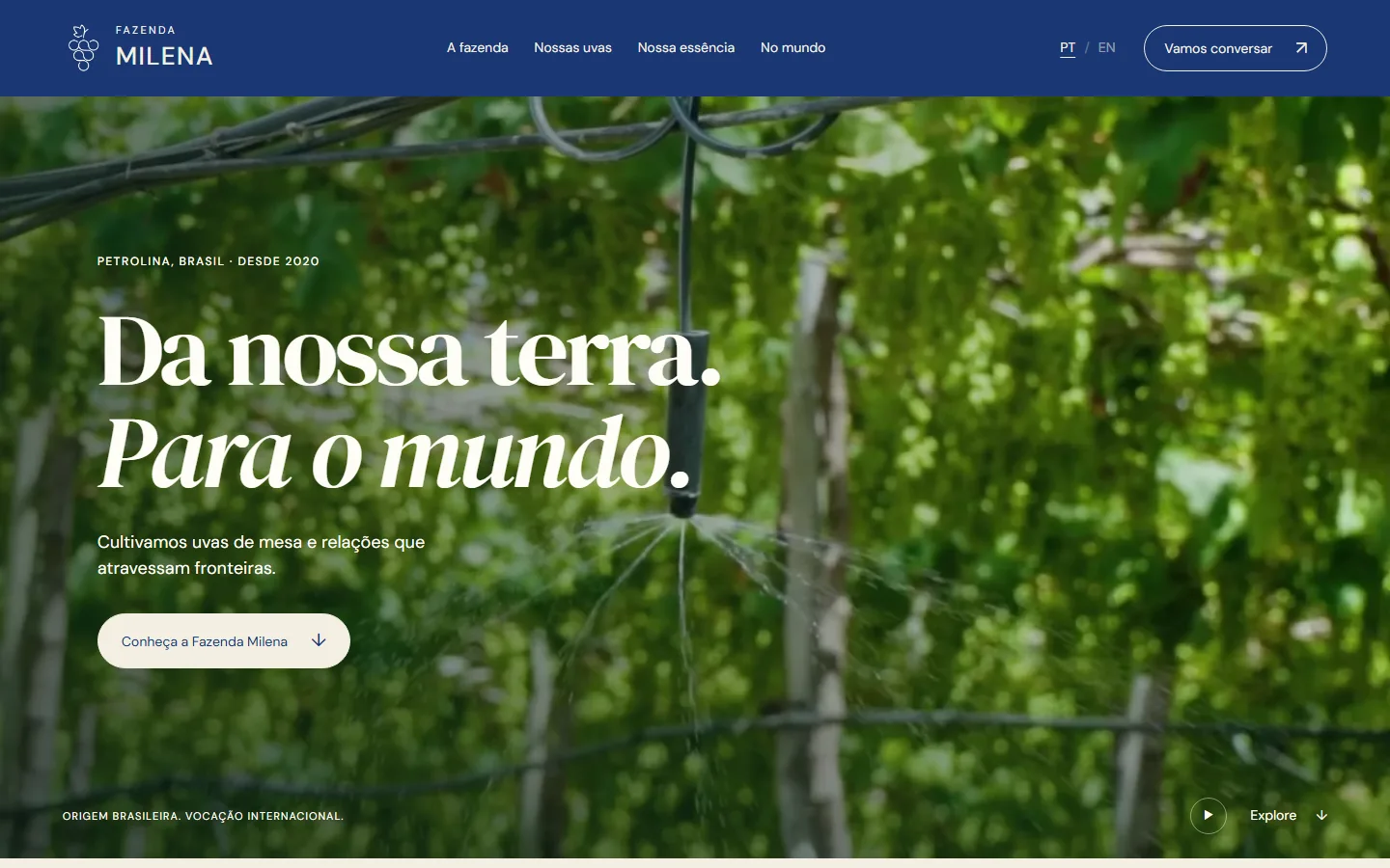 Tela do site da Fazenda Milena, produtora de uvas de mesa